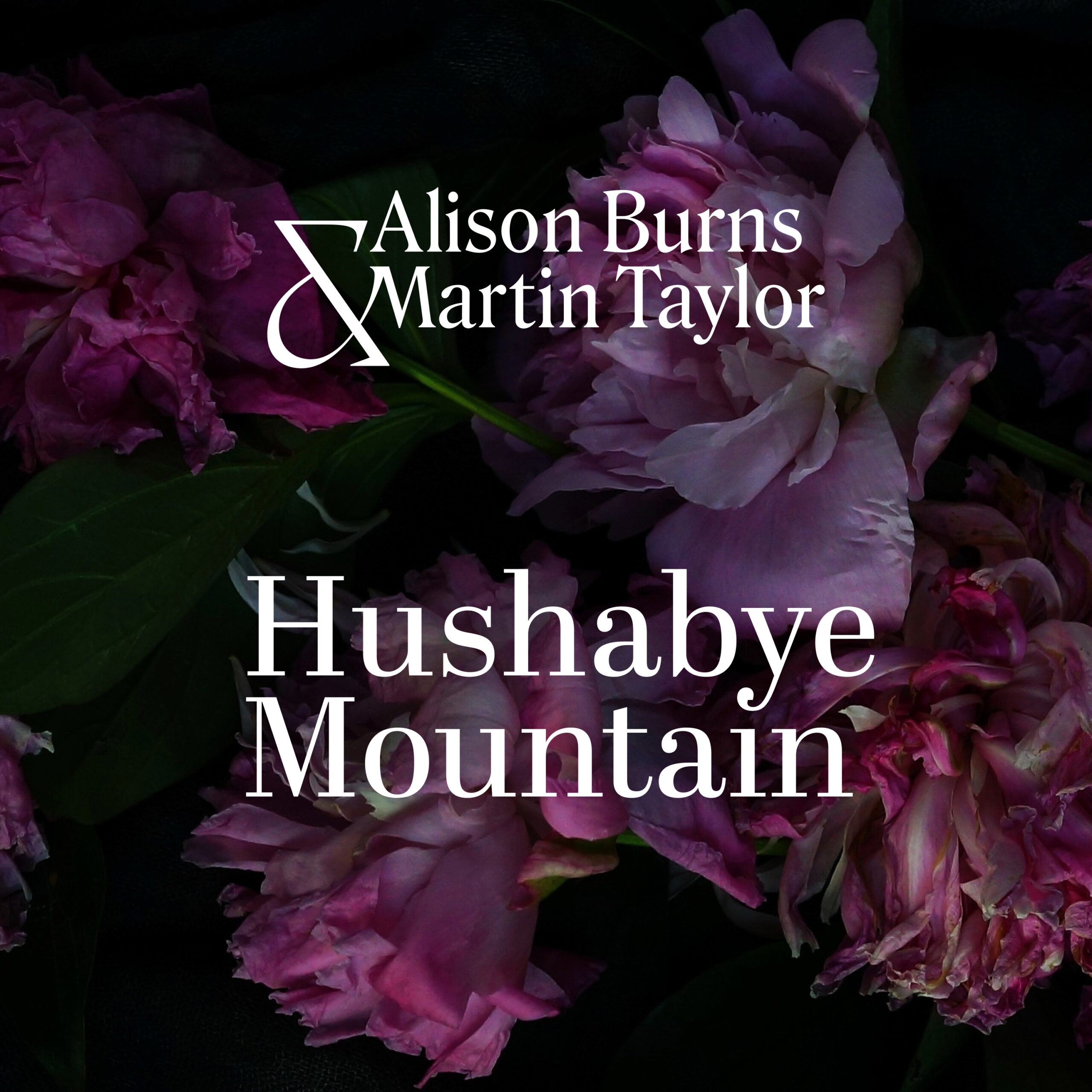 Hushabye Mountain by Alison Burns and Martin Taylor