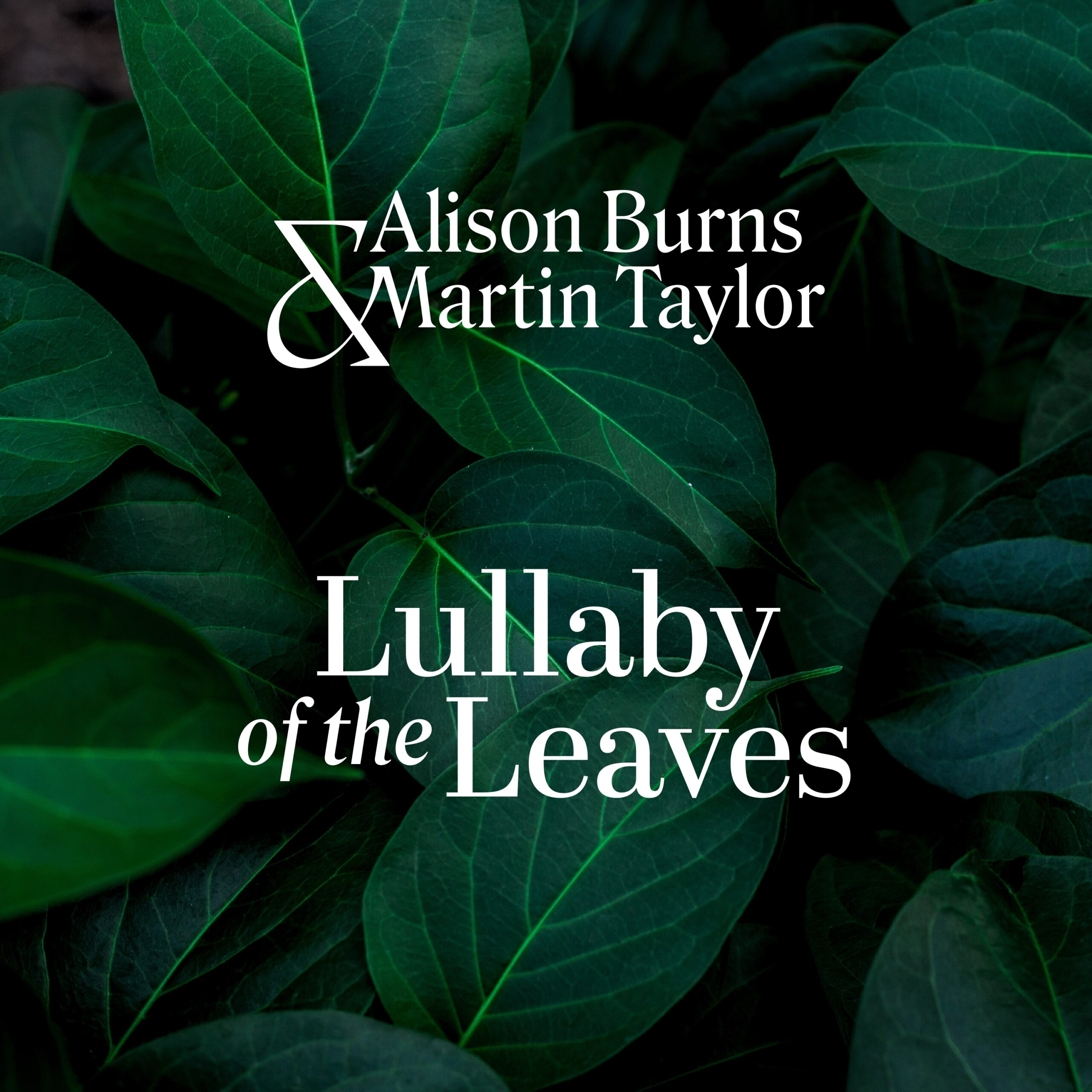 Lullaby of the Leaves by Alison Burns and Martin Taylor