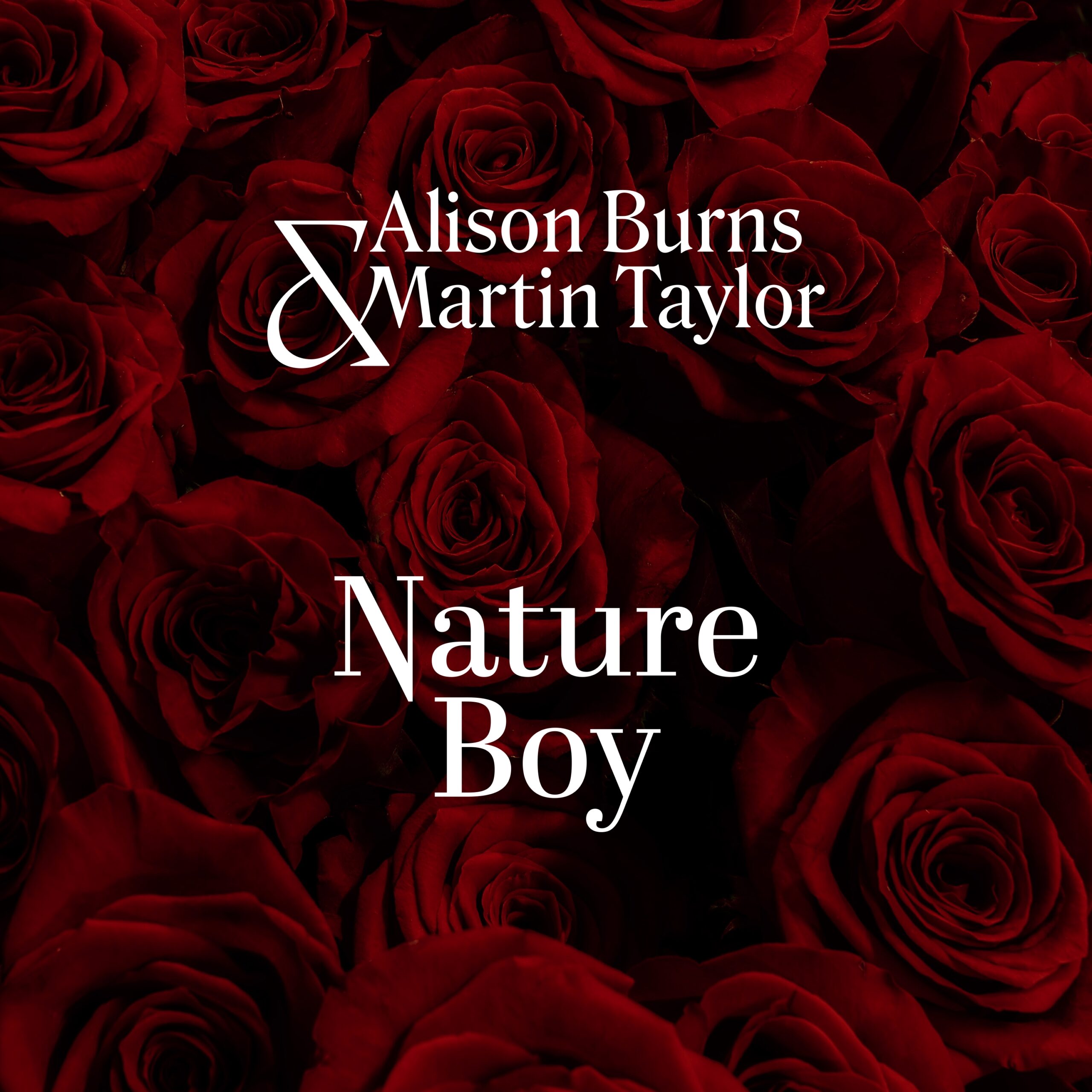 Nature Boy by Alison Burns and Martin Taylor