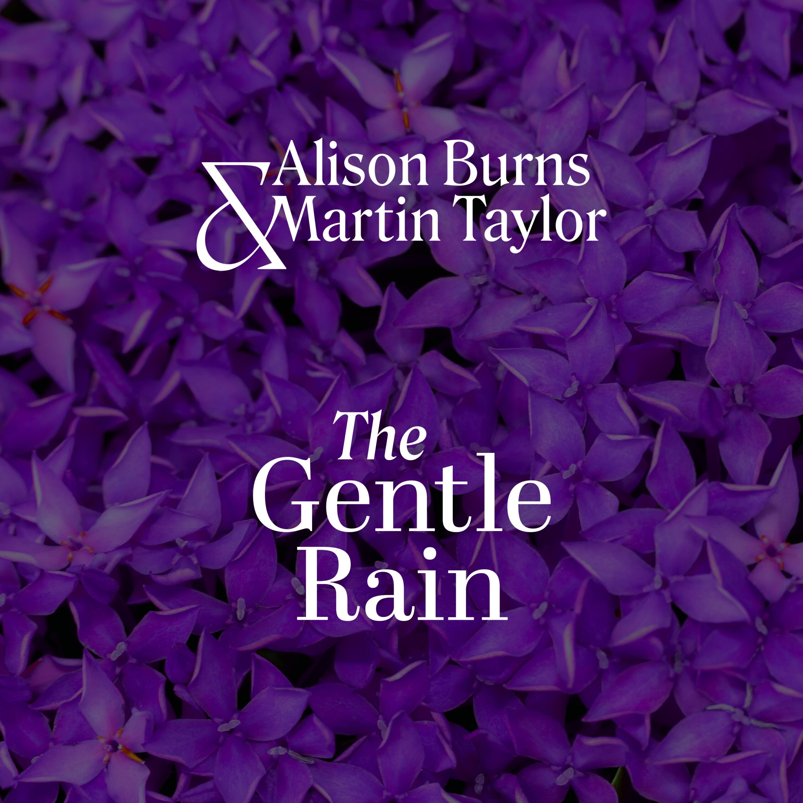 The Gentle Rain by Alison Burns and Martin Taylor